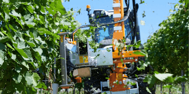 Entretien - Taille viti-arbo - Effeuilleuse EB490 BINGER