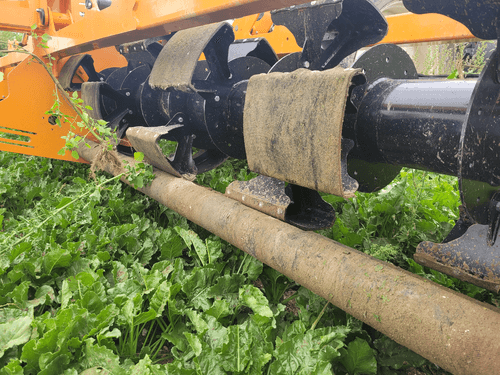 Entretien - Désherbeuses - Arracheuse mauvaises herbes TIG'AIR