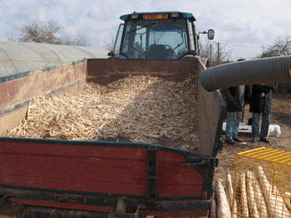 Matériel de ferme/outillage - Enfonces pieux - Appointe - Ecorceuse de pieux ROBOPEL