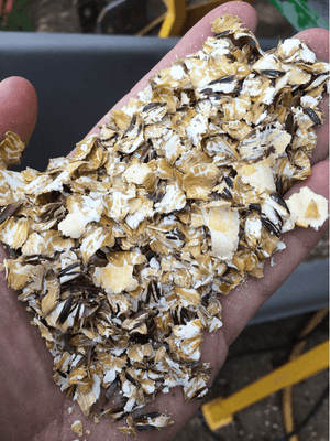 Alimentation - Fabrication d'aliments - Aplatisseur floconneur