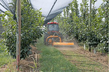 Entretien - Faucheuses d'accotements - Broyeur d'accotement ZMT-Gamme agricole