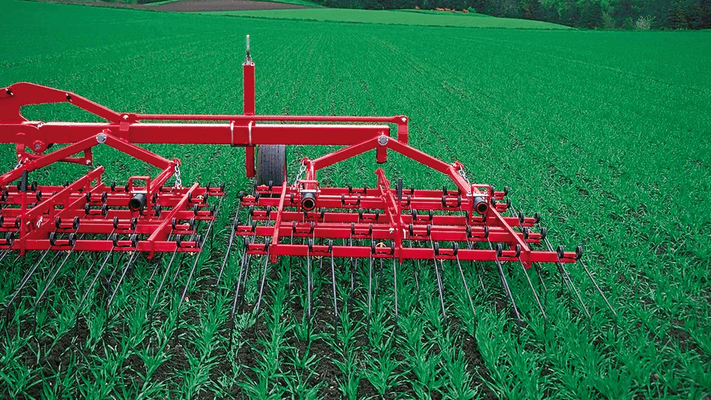 Entretien - Herse prairie, herse étrille - Herse étrille polyvalente WEEDER