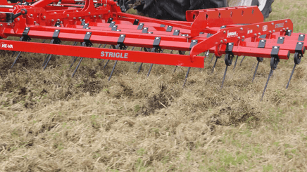 Entretien - Herse prairie, herse étrille - Herse étrille polyvalente TOP STRIGLE