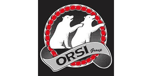 Orsi